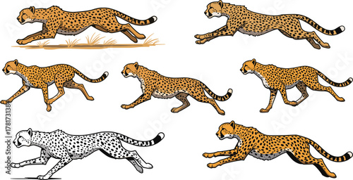 Cheetah running illustration, fast wild animal motion art, African wildlife predator drawing, sprinting big cat speed, nature design concept artwork
