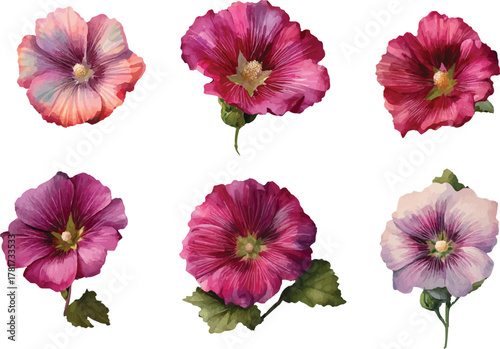 collection of flowers