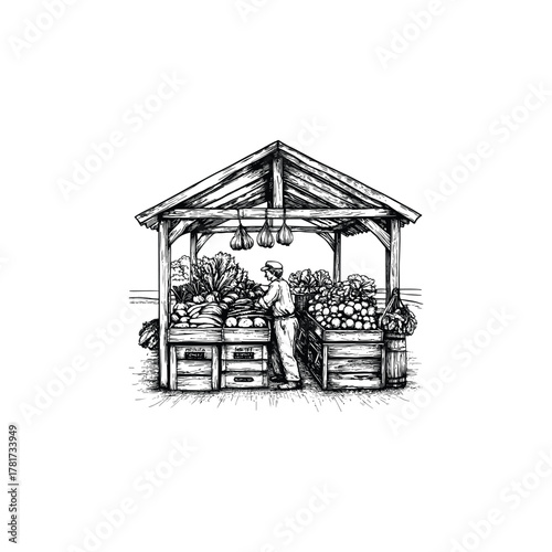 Vintage hand-drawn engraving illustration of a rural market stall overflowing with fresh organic fruits and vegetables in rustic wooden crates