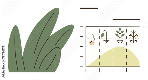 Chart showing stages of plant growth from seed to sprout alongside large green leaves. Ideal for biology, agriculture, education, environment, sustainability, gardening, and research. Minimal flat