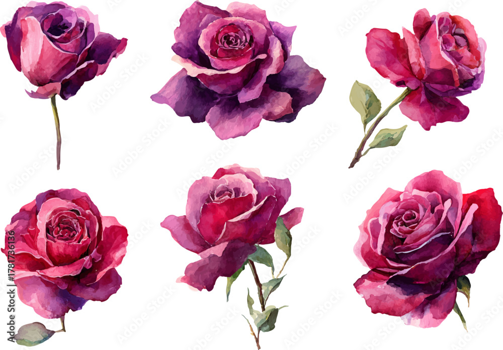 Fototapeta premium set of pink roses