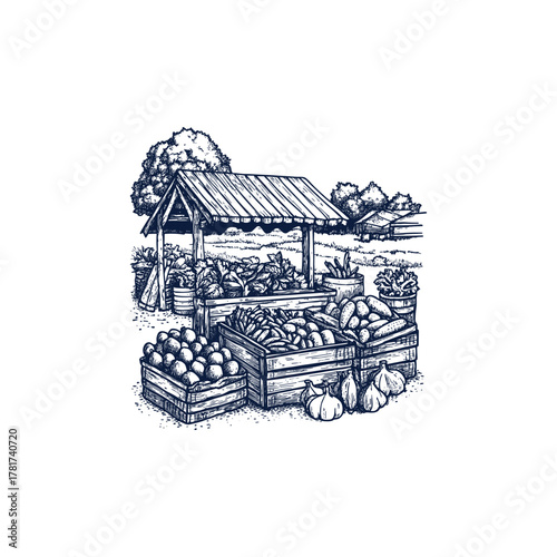 Vintage hand-drawn engraving illustration of a rural market stall overflowing with fresh organic fruits and vegetables in rustic wooden crates