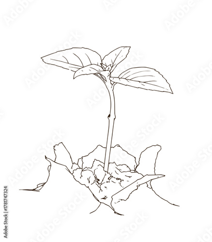 Hand-Drawn Young Plant Sprout abstract background