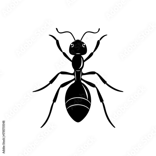 Ant insect vector icon illustration, simple black design element.