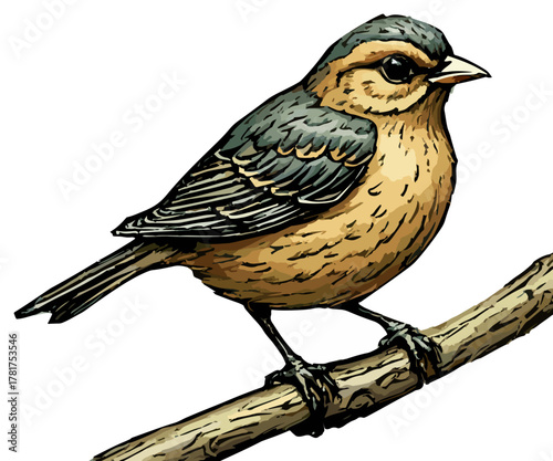 Small brown bird perched on branch