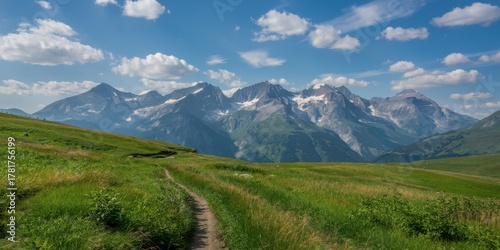 Fototapeta Naklejka Na Ścianę i Meble -  Path Through Green Alpine Meadows Toward Snowy Mountains