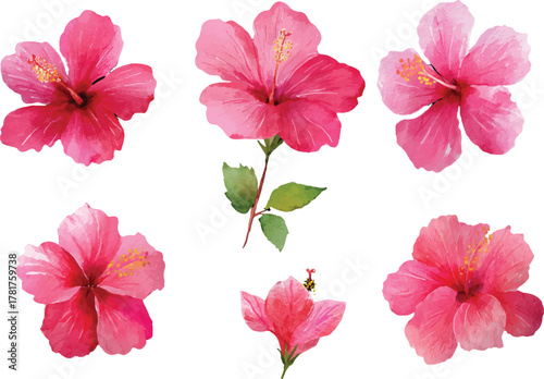 set of pink flowers