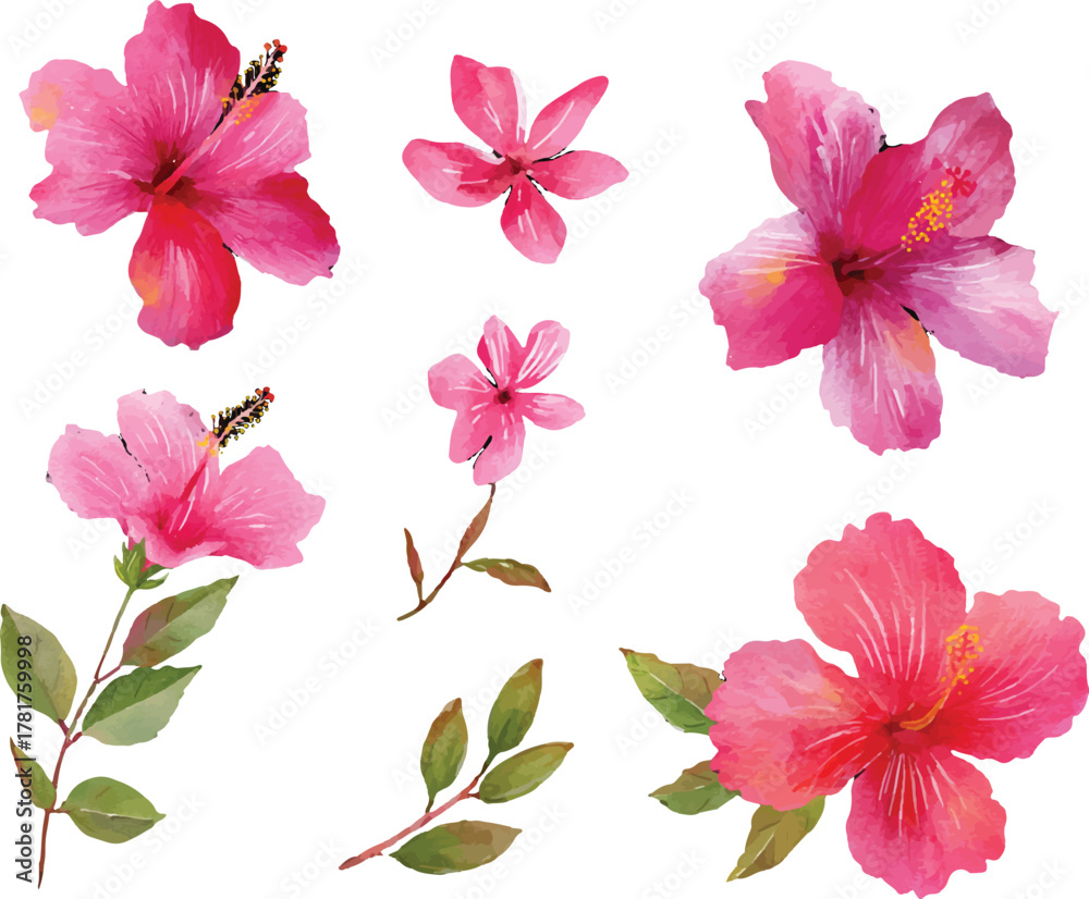 Fototapeta premium set of flowers isolated on white