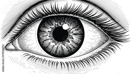 Line drawing of a human eye with visible pupil iris and fine eyelashes.