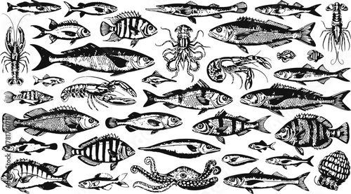 Silhouettes of diverse marine creatures and seafood arranged as a pattern on a dark background