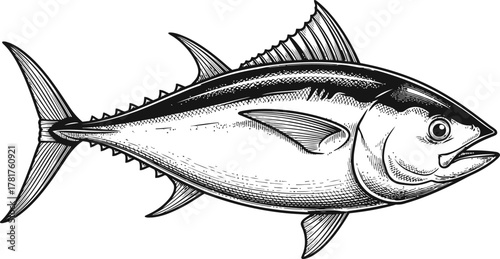 Tuna fish silhouette for seafood culinary themes and restaurant menus