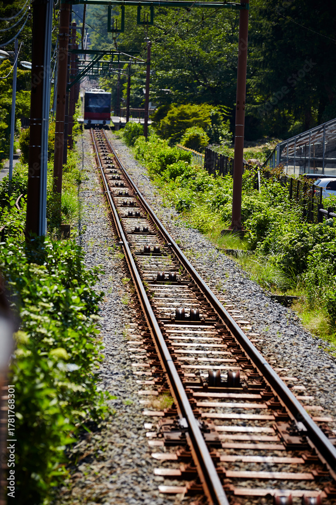 Obraz premium railroad tracks in the countryside