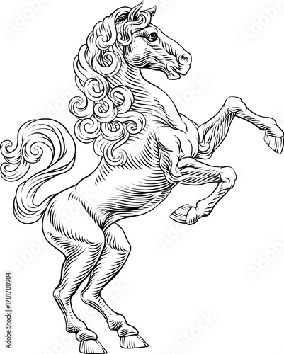 A heraldry coat of arms crest style rearing heraldic horse standing on hind legs in a vintage style