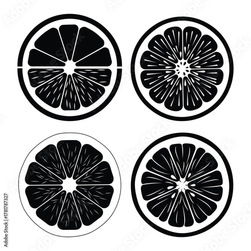 Black and white citrus fruit slices vector illustration graphic resource