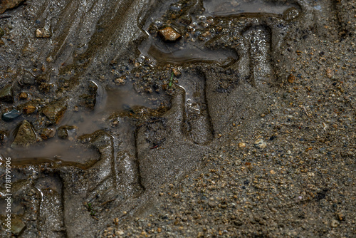 The tread print of a tractor in the mud.