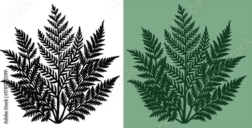 Elegant fern frond botanical illustration in black and green shades against contrasting backgrounds, ideal for nature-inspired designs and invitations