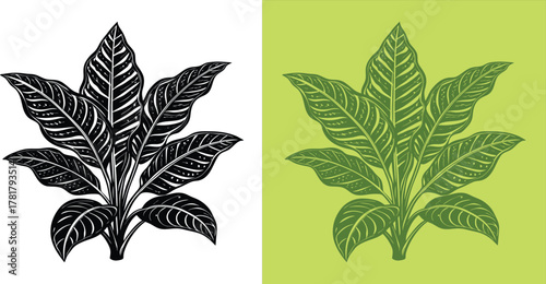 Striking botanical illustration featuring elegant leaves in monochrome and vibrant green tones, perfect for adding a touch of nature to your designs