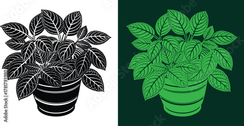 Striking potted plant duo for modern design projects, graphic arts, and botanical themes in black and white or vibrant green for a fresh look