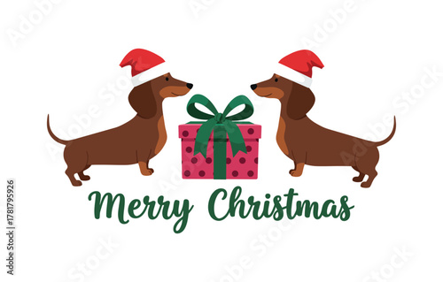 Holiday Season Greeting Dachshunds, Santa Hats, and a Festive Christmas Gift