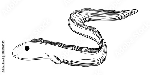 Cute Eel Fish Hand Drawn Engraving Sketch
