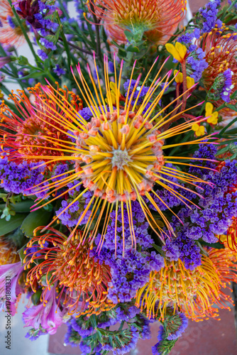 A bouquet of unique vibrant flowers in bloom