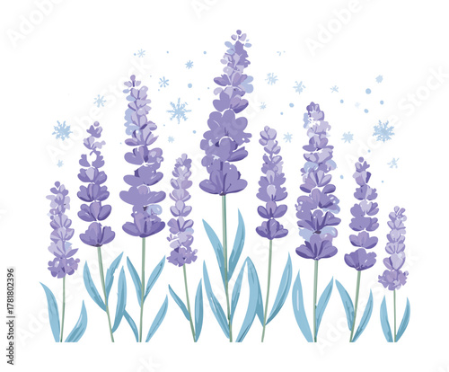 Delicate watercolor style illustration of purple lavender Plants covered in soft snowflakes, portraying a gentle and beautiful winter botanical scene