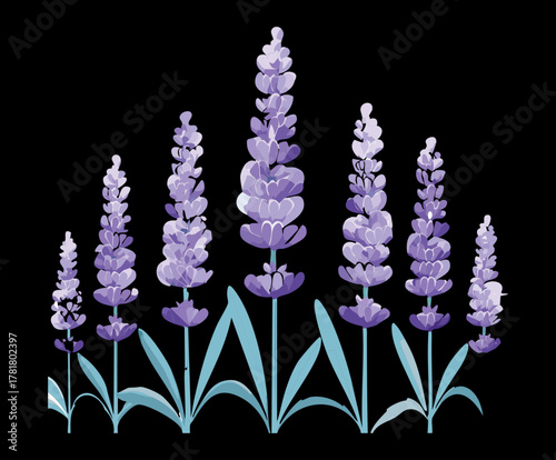 Striking silhouette illustration of tall lavender Plants, emphasizing the strong, calming, and fragrant beauty of purple botanical elements