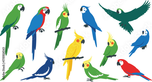 Colorful parrot cartoon set, vector illustration, perched and flying bird poses, tropical species, vibrant feathers, exotic wildlife, playful style, nature theme