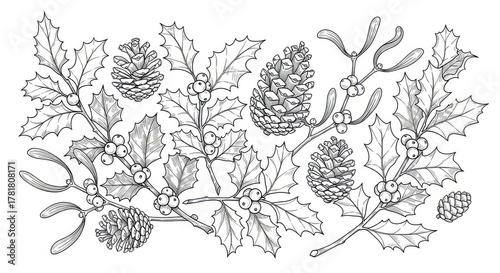 Hand-drawn illustration featuring holly leaves, pine cones, and mistletoe, showcasing intricate details and textures, perfect for holiday-themed designs and seasonal decorations