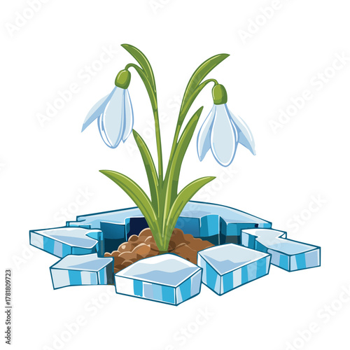 Snowdrop Plants blooming through large broken ice shards, depicting the powerful resilience and promise of renewal after a harsh winter