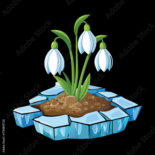 Delicate snowdrop Plants emerging from icy terrain and frozen rocks, symbolizing the fragile yet persistent beauty of early spring life