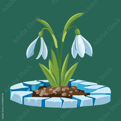 Delicate Plant White Snowdrop Flower Emerging from Snow and Ice Vector Illustration for Early Spring Graphics