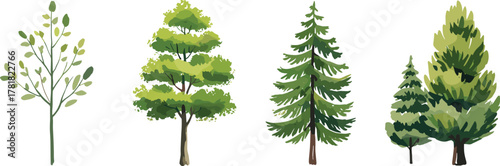 Four stylized trees with varied trunk shapes and foliage types, vector illustration for nature, forest, landscape, botanical, and outdoor themes