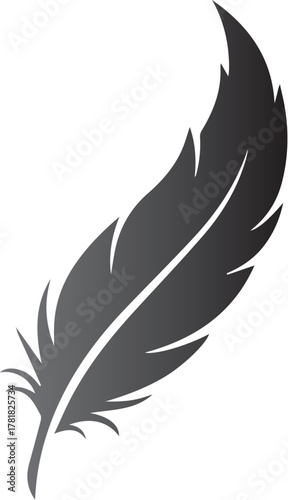 Illustration of black feather