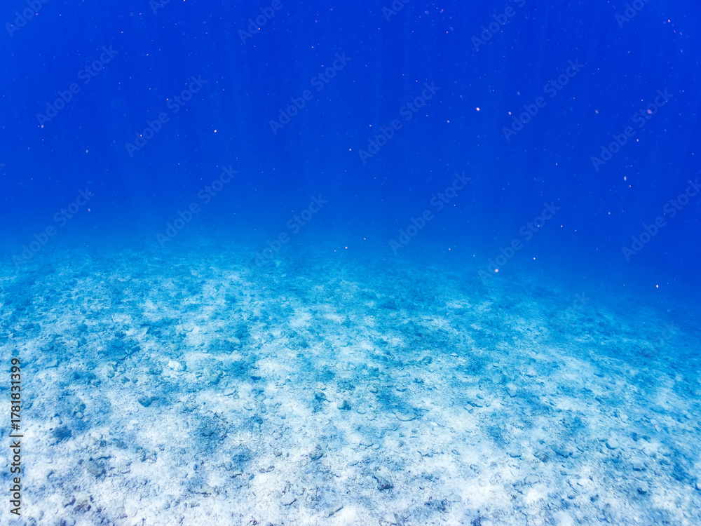 Fototapeta premium コバンアジ, Small spotted dart, Trachinotus baillonii, アジ科, 美しい白砂ビーチの半水面撮影。 観光客やパラソルも見える。 美しいサンゴ礁と熱帯魚の群れ。 嘉比島沖縄県 島尻郡慶良間諸島座間味島-2025 サンゴの産卵があり卵が漂う。沖縄本島から40km西方の諸島。30以上の島嶼群全体が国立公園に指定。珊瑚礁の青い海と白い砂浜は世界屈指の美。貴重