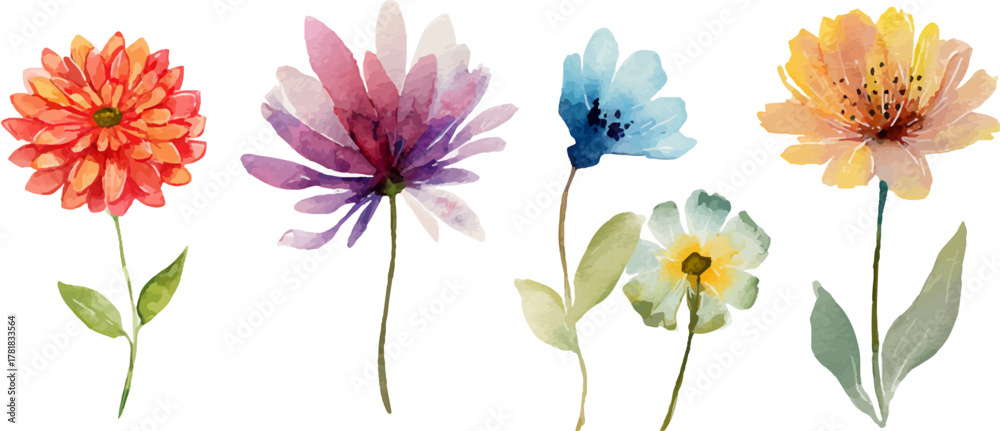 Fototapeta premium colorful flowers isolated on white