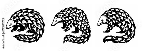 Three stylized pangolin designs showing different poses and scales for wildlife art and education