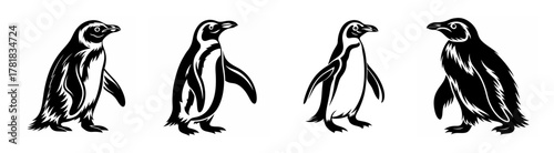 Four adorable penguins waddling in a row captured in a black and white sketch style portrait