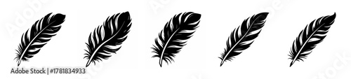 Five intricate black phoenix feathers delicately arranged in a row on a light background