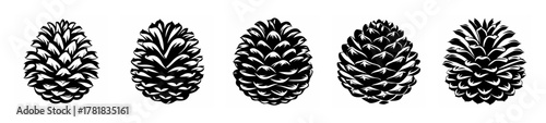 Close-up view of five detailed pine cones arranged horizontally displaying natural textures and patterns