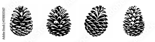 Four detailed pinecones arranged in a row highlighting their natural texture and organic shape