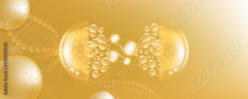 Probiotic and Hyaluronic acid skin solutions ad, gold collagen, and vitamin serum drops with cosmetic advertising background ready to use illustration vector.