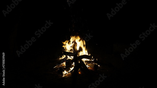 fire in the night. fire on the dark background