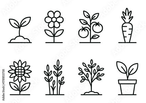 Minimalistic line icons of plants and vegetables on gradient background