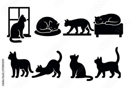 Silhouetted cats: window, sleeping, walking, lounging, playful poses
