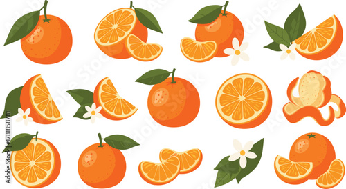 Orange fruit illustration set with whole, sliced, peeled, and segmented pieces, including leaves and blossoms in vibrant cartoon style
