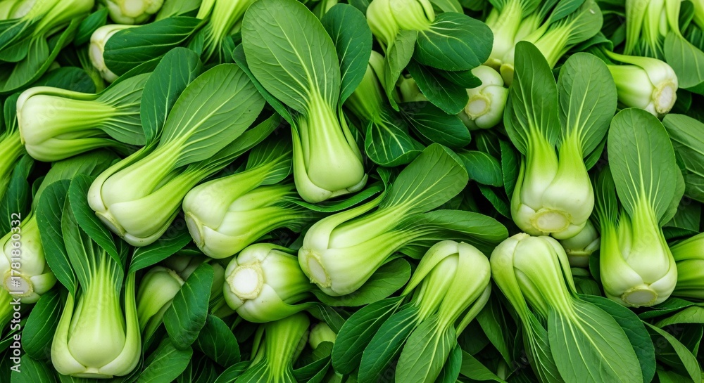 Obraz premium Fresh Bok Choy Pile with Vibrant Green Leaves