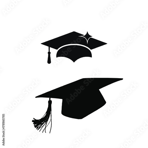 Graduation cap and tassel silhouette, university achievement vector icon.