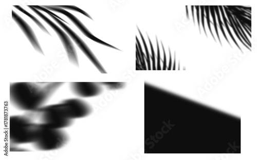 Shadow Set Abstract Shapes Minimal Background png shadow set, Palm Leaves and Pebble Shapes Modern Design png shadow set