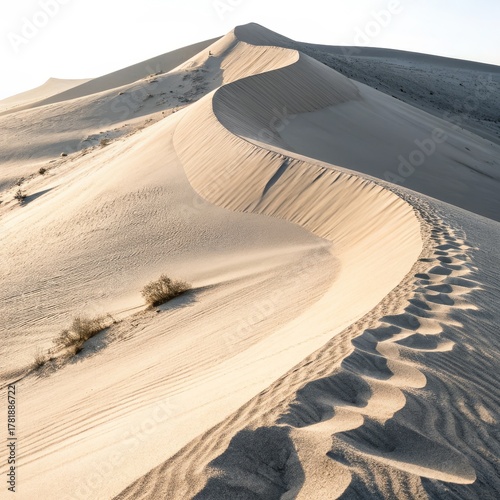 Sand Dune Pathway Golden Ho...